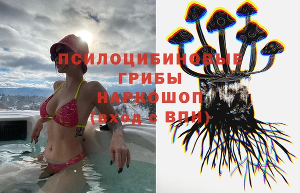 эйфоретик Инсар
