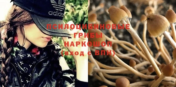 каннабис Инта