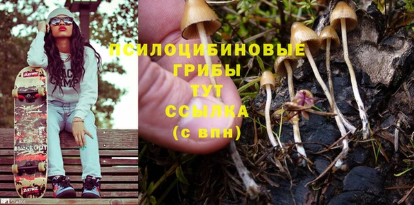 каннабис Инта